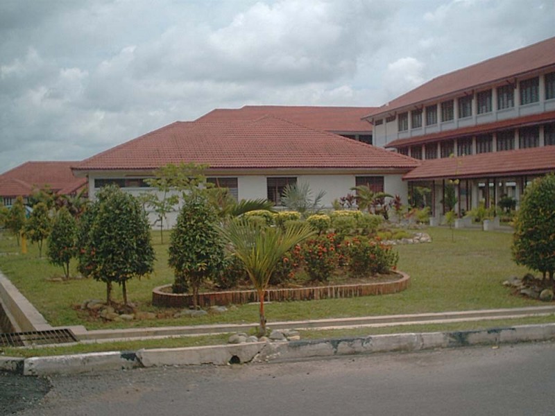 Gallery image 2