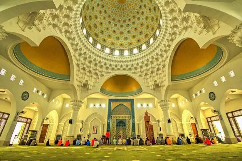 Gallery image 4