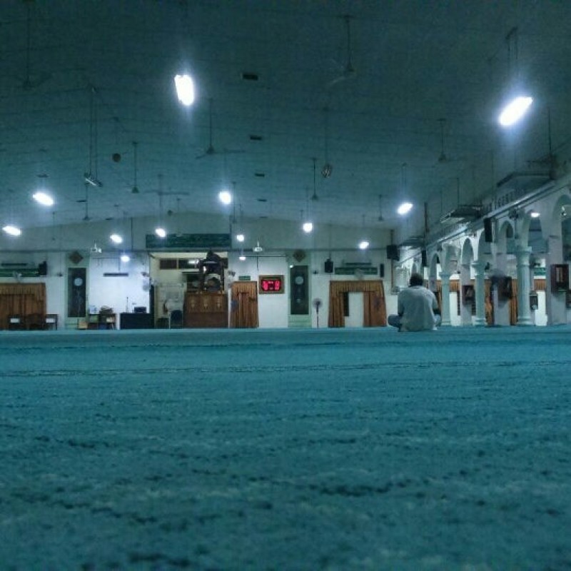 Gallery image 4