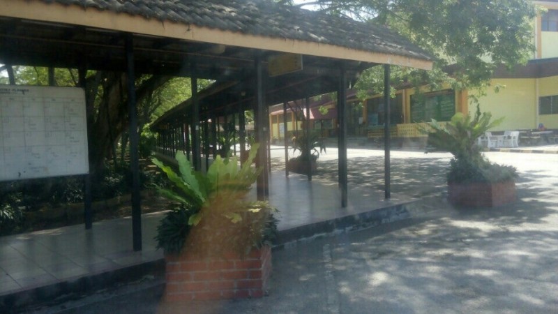 Gallery image 5
