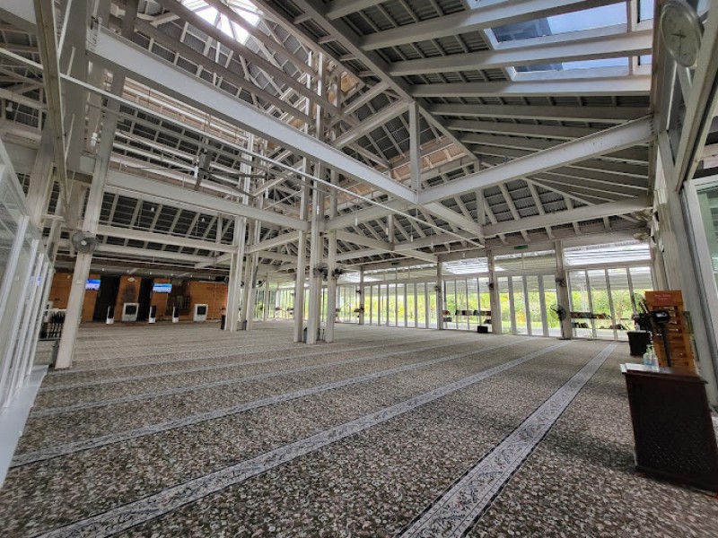 Gallery image 5