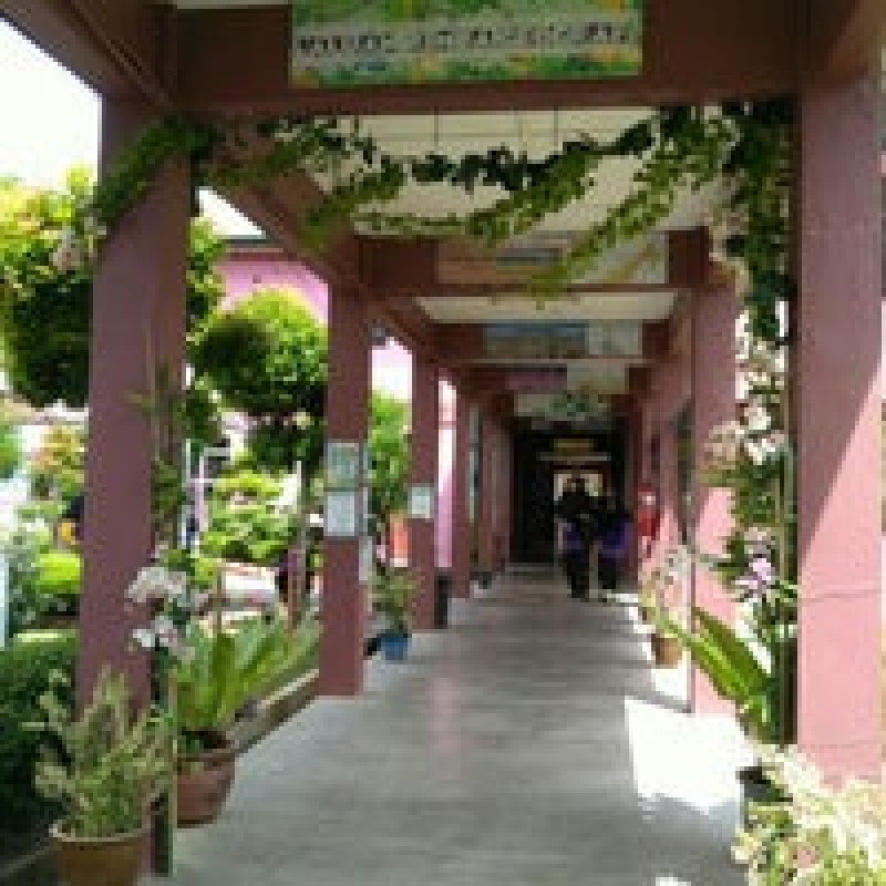 Gallery image 5