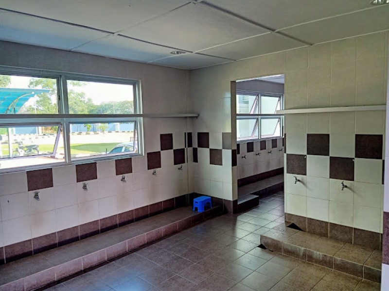 Gallery image 4
